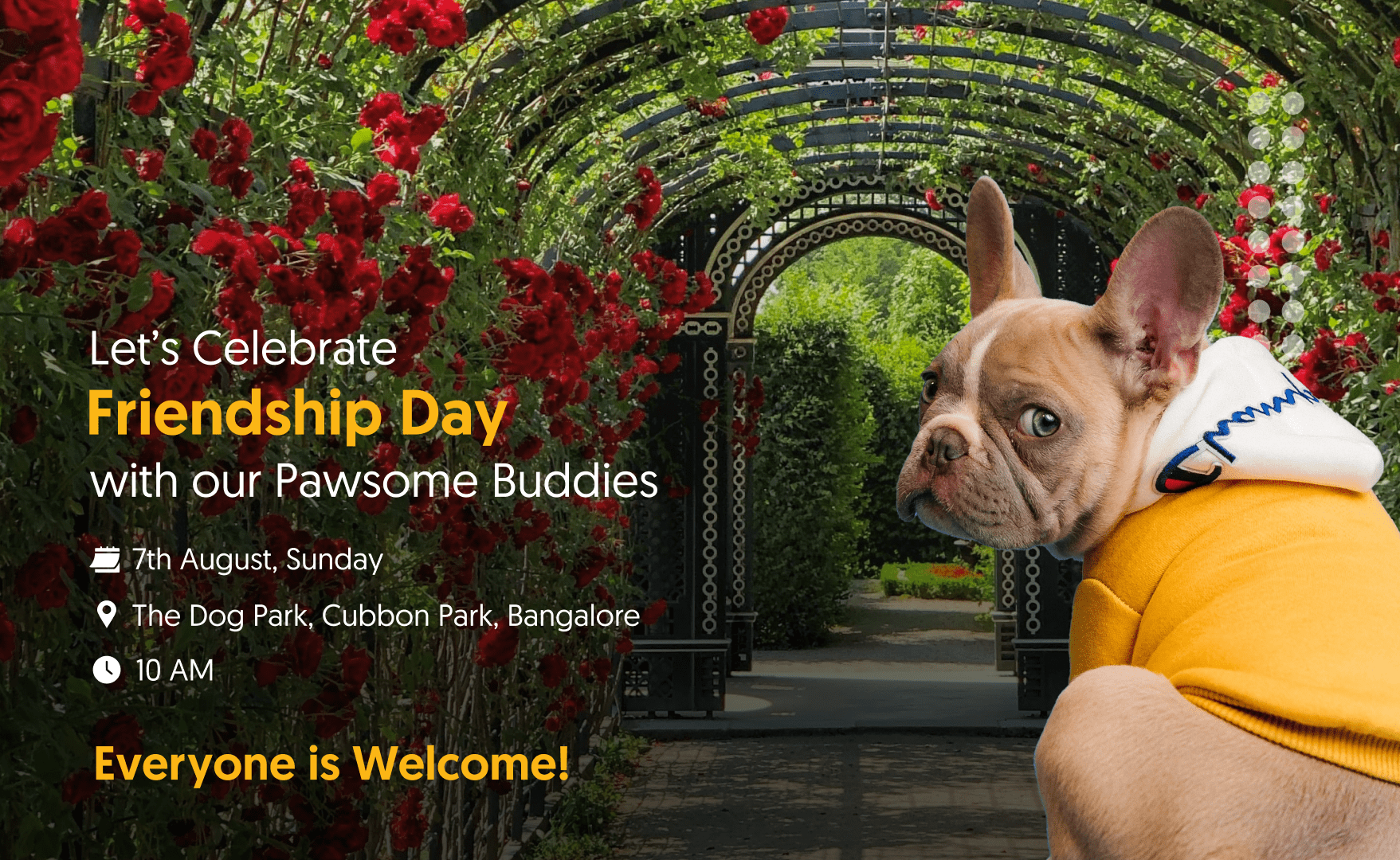 HelloWorld event Celebrate Friendship Day With Our Pawsome Buddies